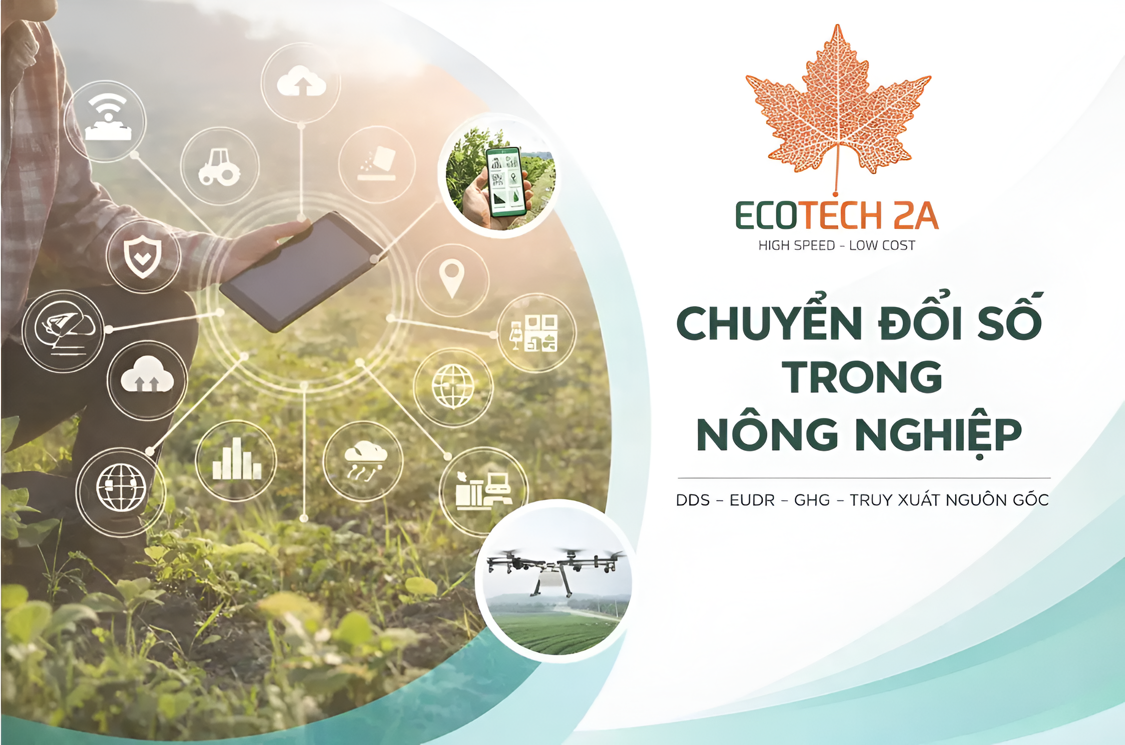 Chuyển đổi số hệ sinh thái EUDR - GHG